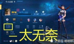 王者网友爆料视频下载